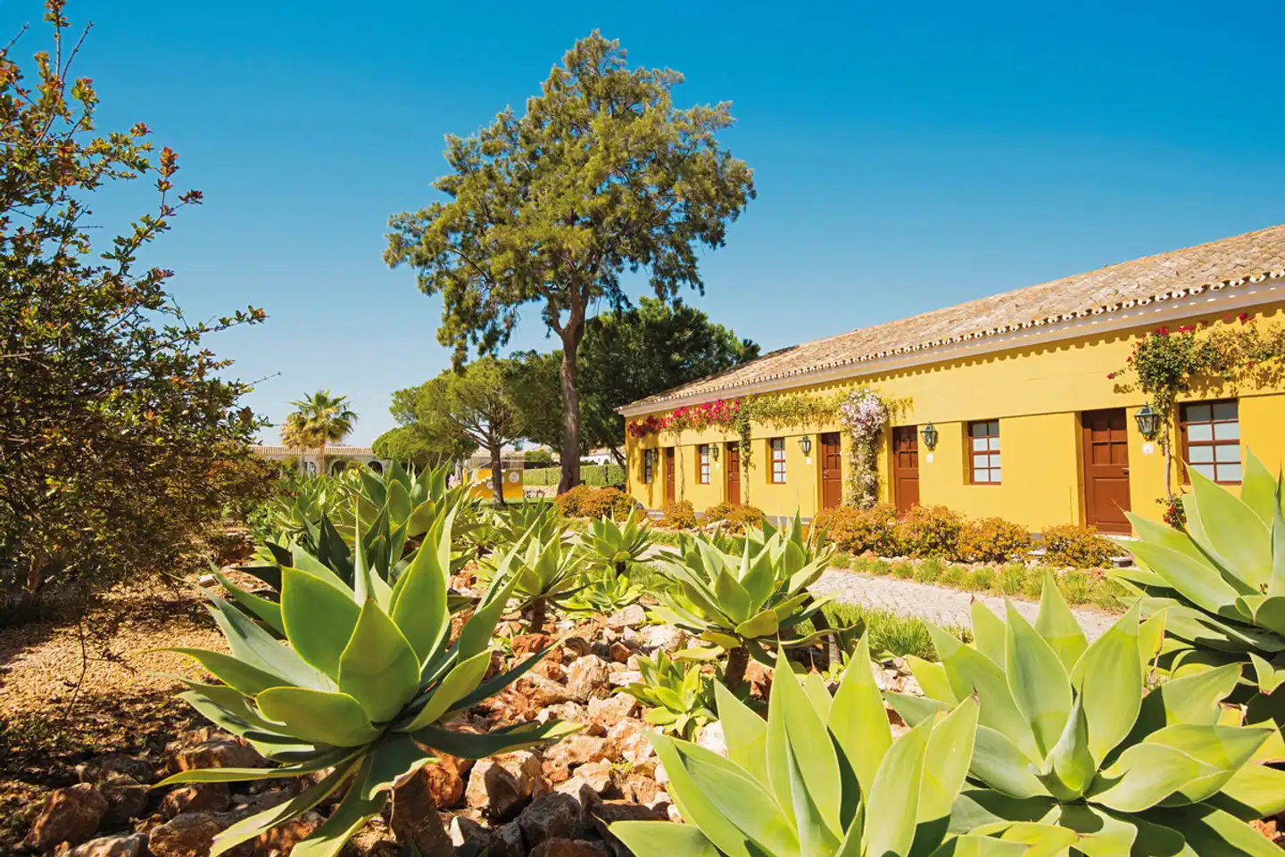 Vila Galé Albacora Garten