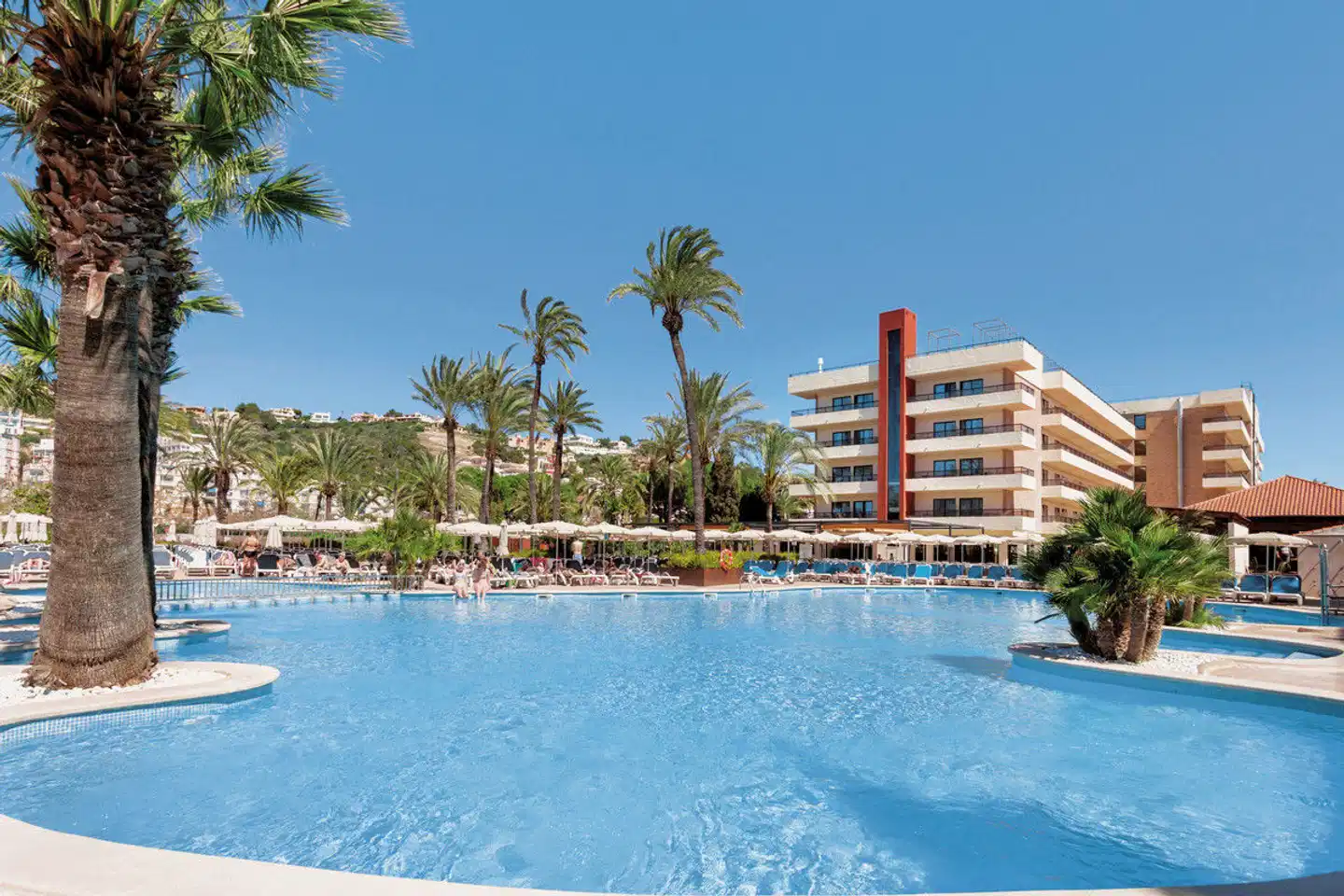 Zafiro Rey Don Jaime Pool