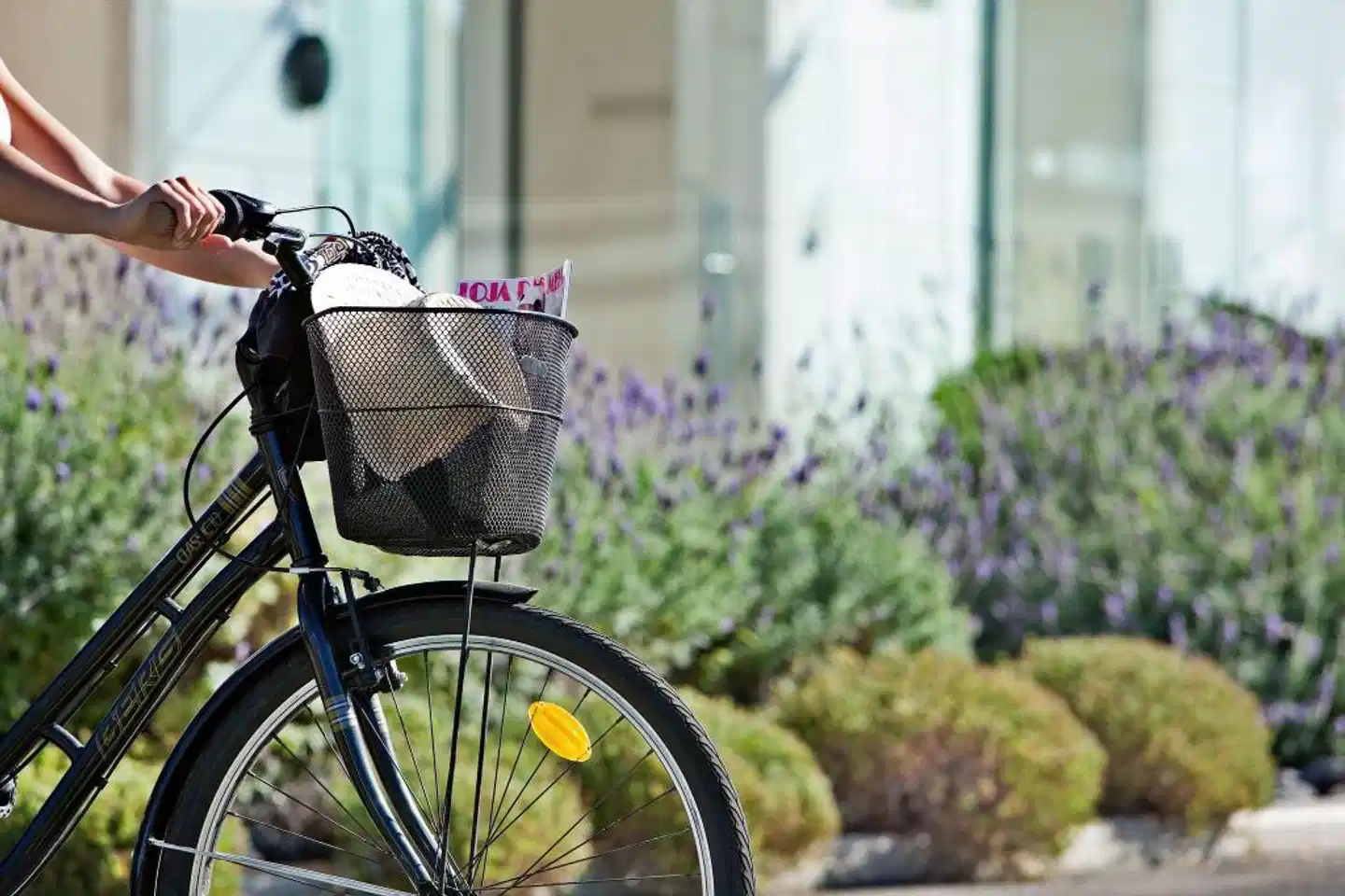 Farol Design Hotel Sport und Entertainment