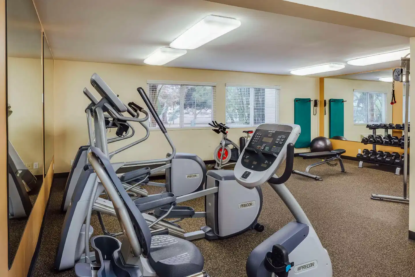 Wild Palms Hotel, a Joie de Vivre Hotel Sport und Entertainment