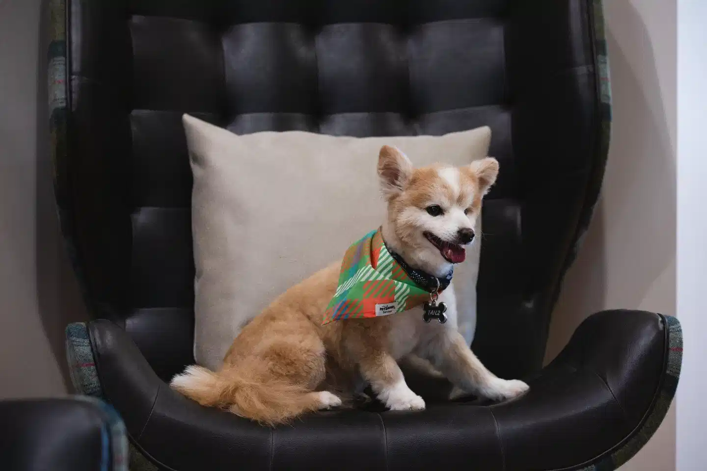 Residence Inn by Marriott Fort Worth Cultural District Tiere