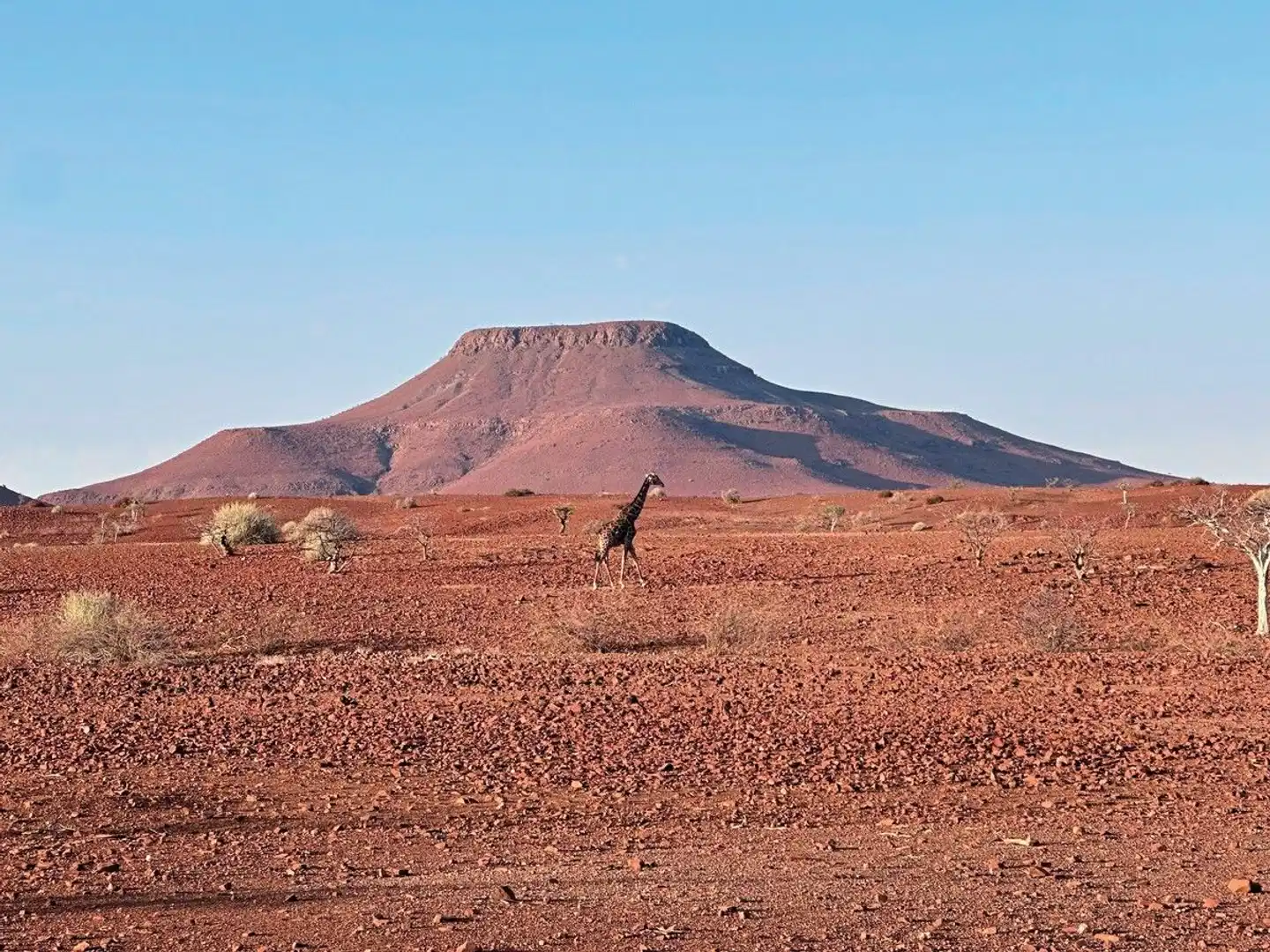 Traumreise Namibia Landschaft