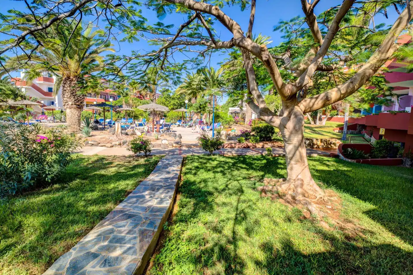 SBH Fuerteventura Playa GARDEN