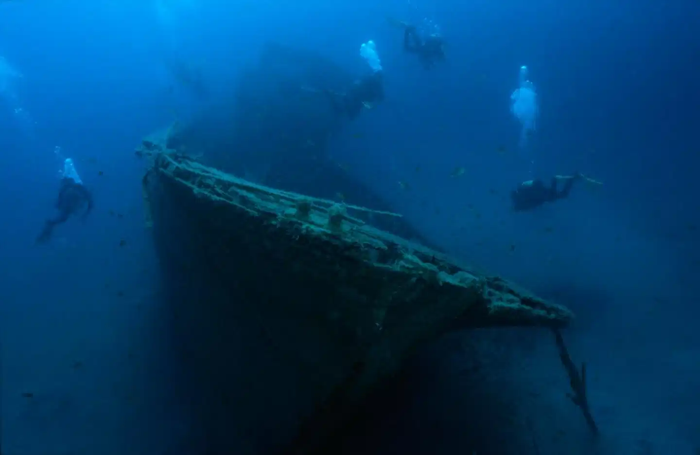 Apartamentos Arena Dorada Tiere