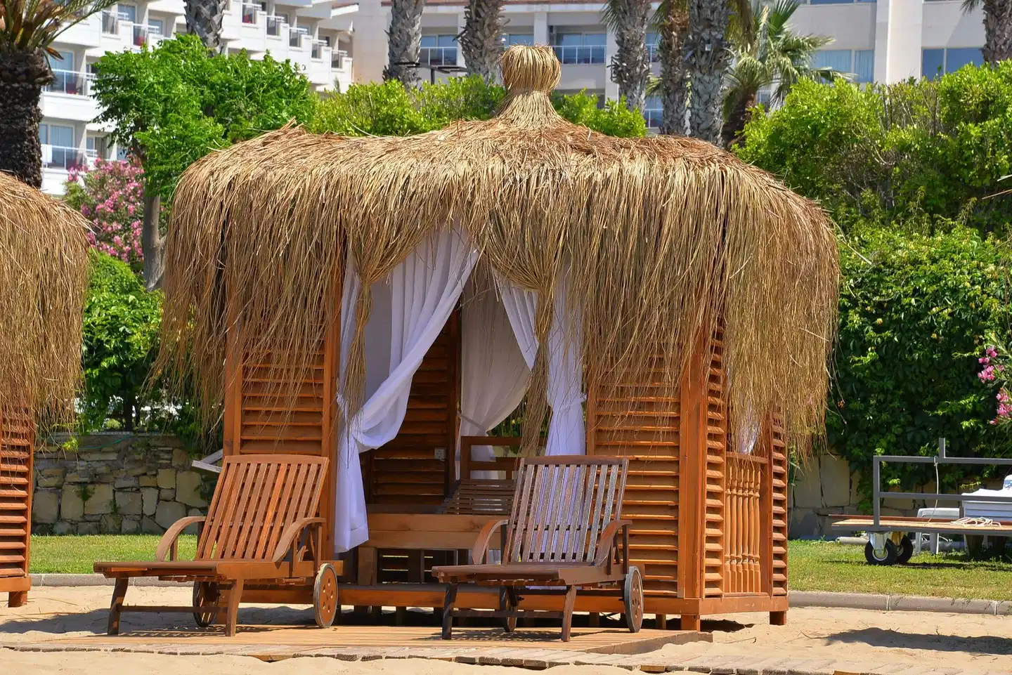 Terrace Beach Resort Tiere