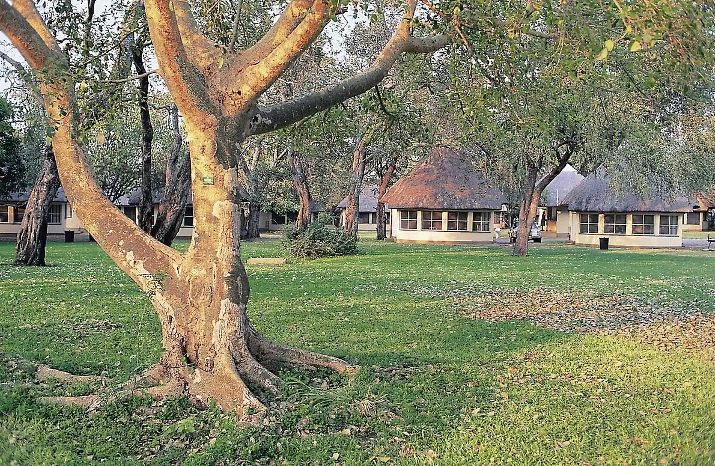 Skukuza Rest Camp Garten