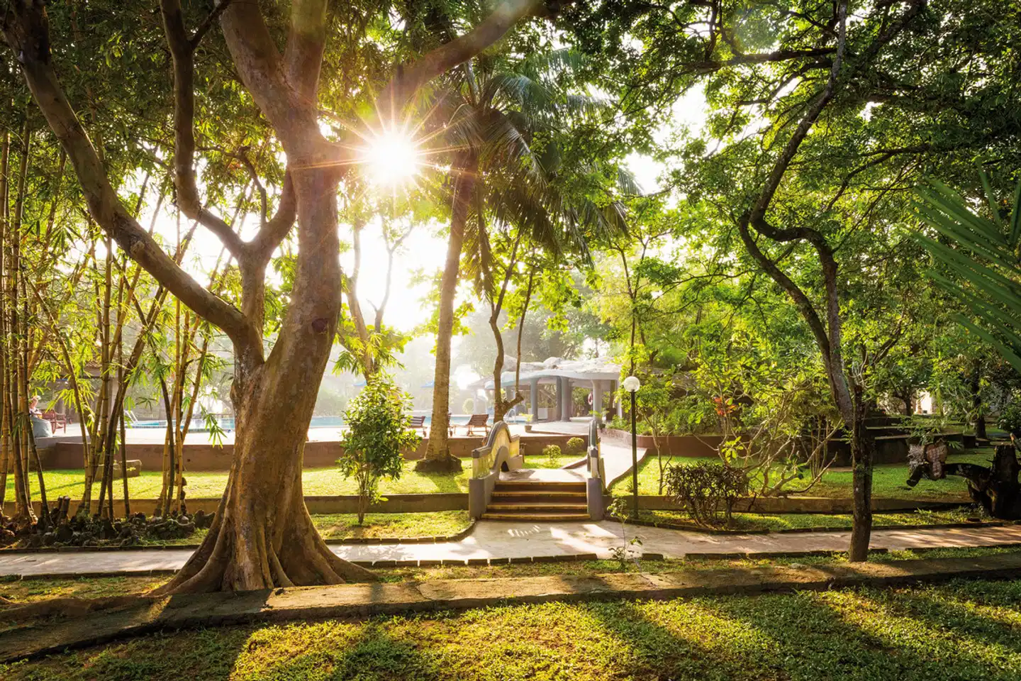 Siddhalepa Ayurveda Resort Garten