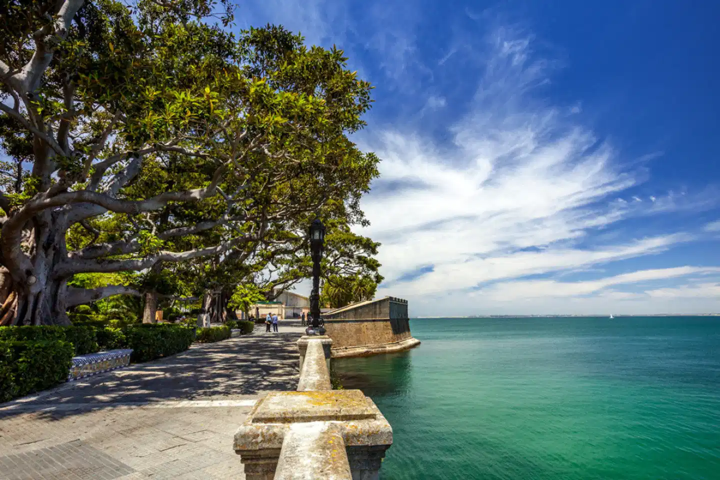 Occidental Cadiz Garten