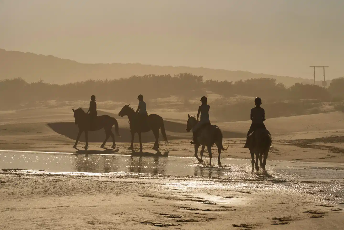 Oceana Beach & Wildlife Reserve Sport und Entertainment