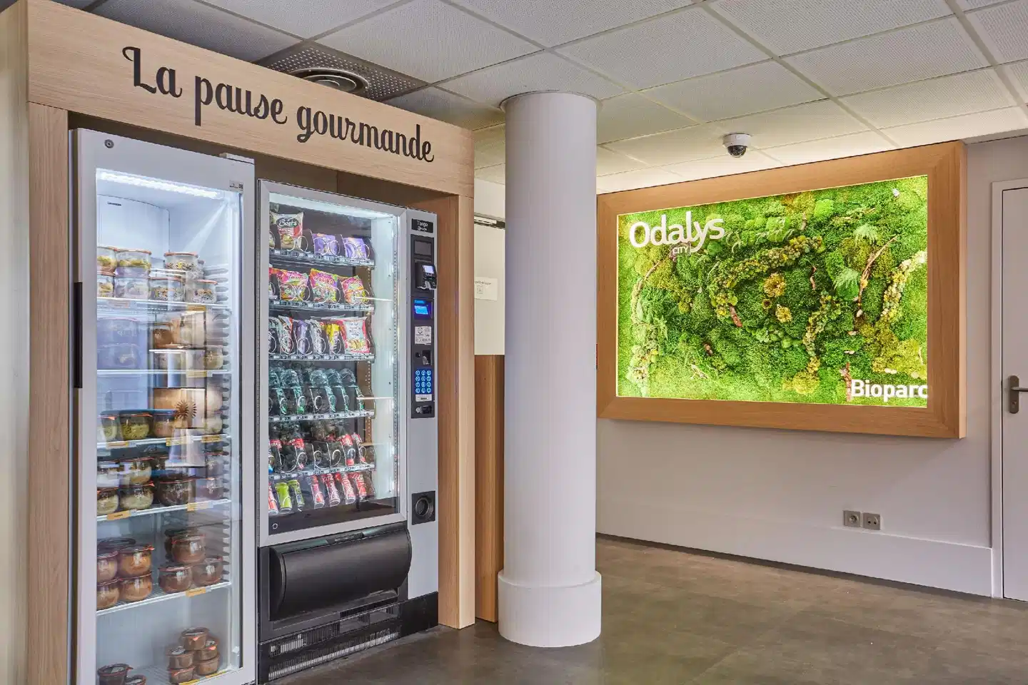 Appart hotel Odalys Lyon Bioparc Lyon Est Wohnbeispiel