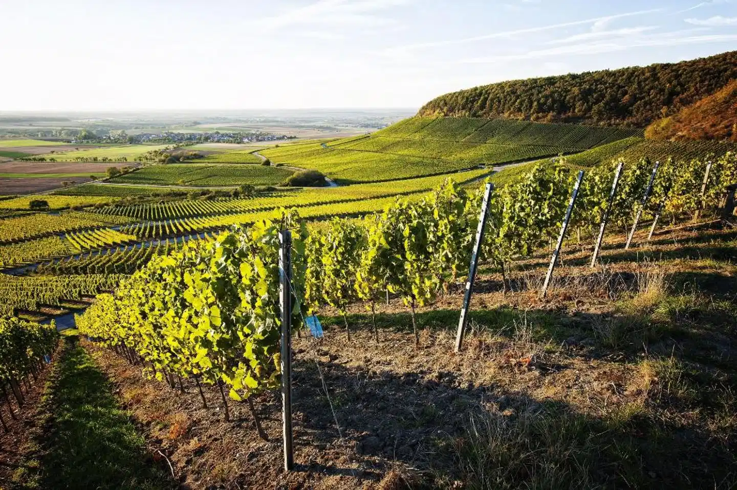 Vital Hotel An Der Therme Landschaft