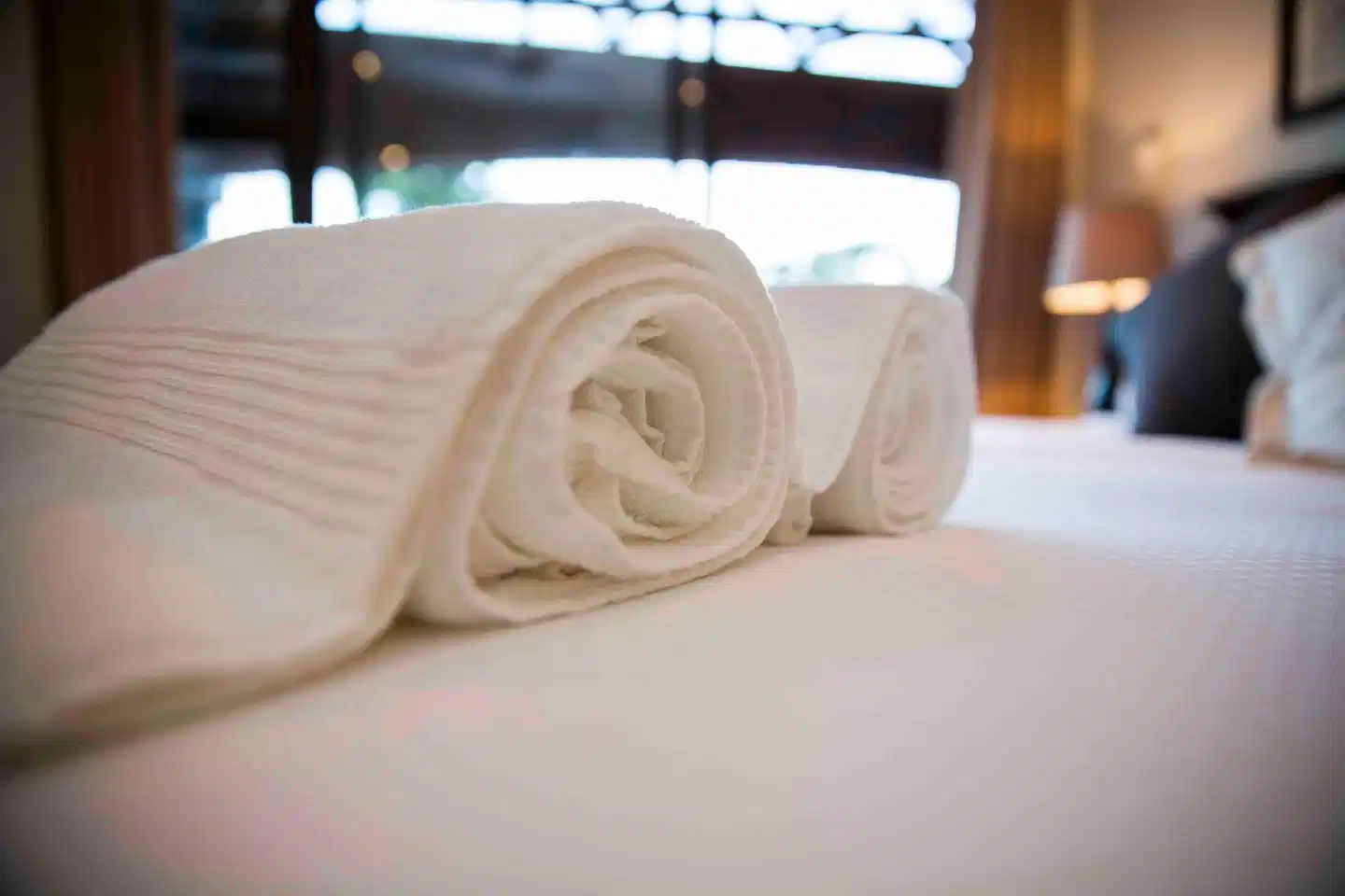 Palmwood Guest House Wohnbeispiel