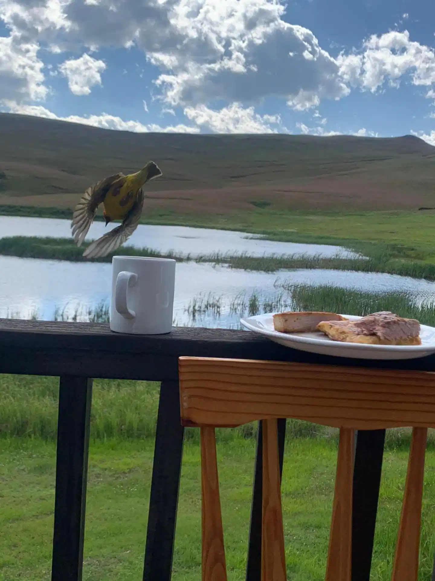 Eland Valley Resort Terrasse