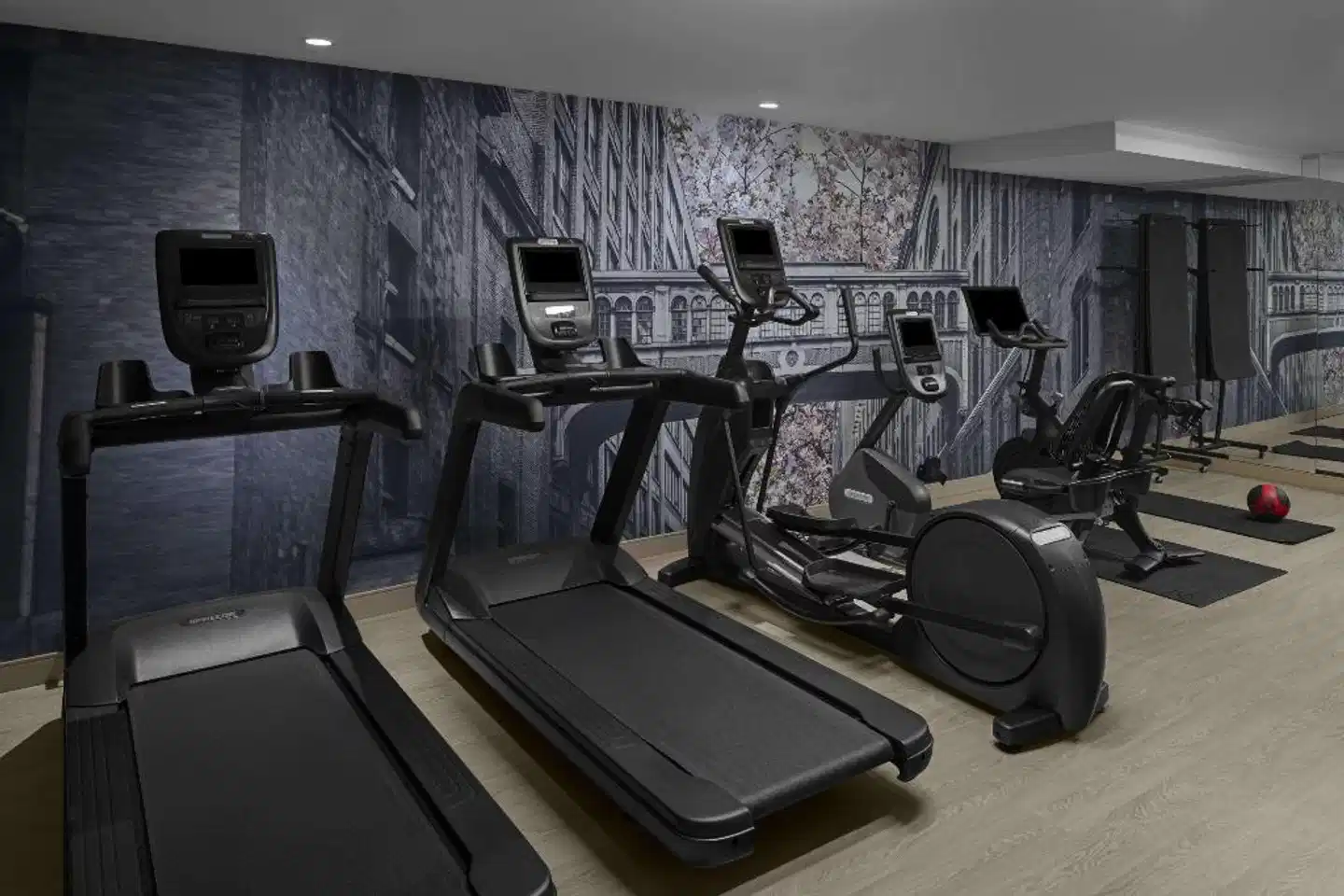 Cambria Hotel & Suites New York - Chelsea Sport und Entertainment