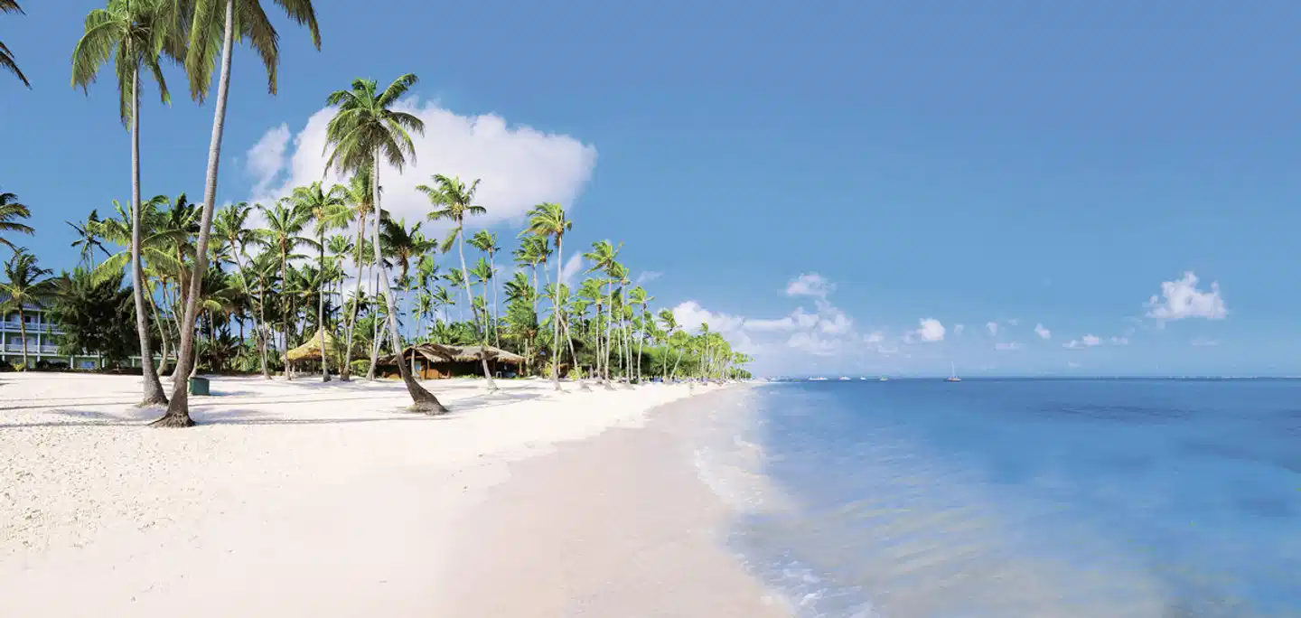 Barcelo Bavaro Beach BEACH