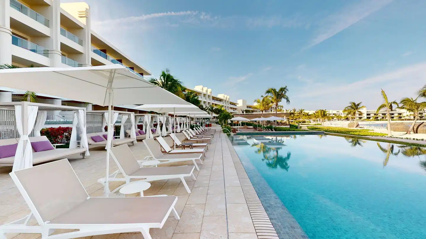 Princess Senses the Mangrove Pool