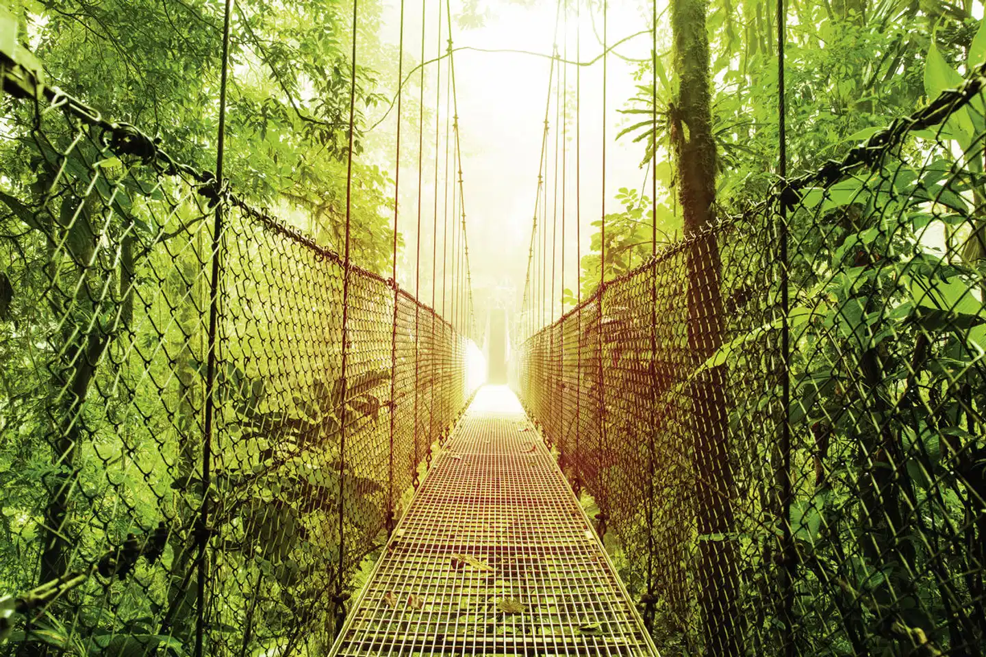 Costa Rica Rundreise & Baden Wellness