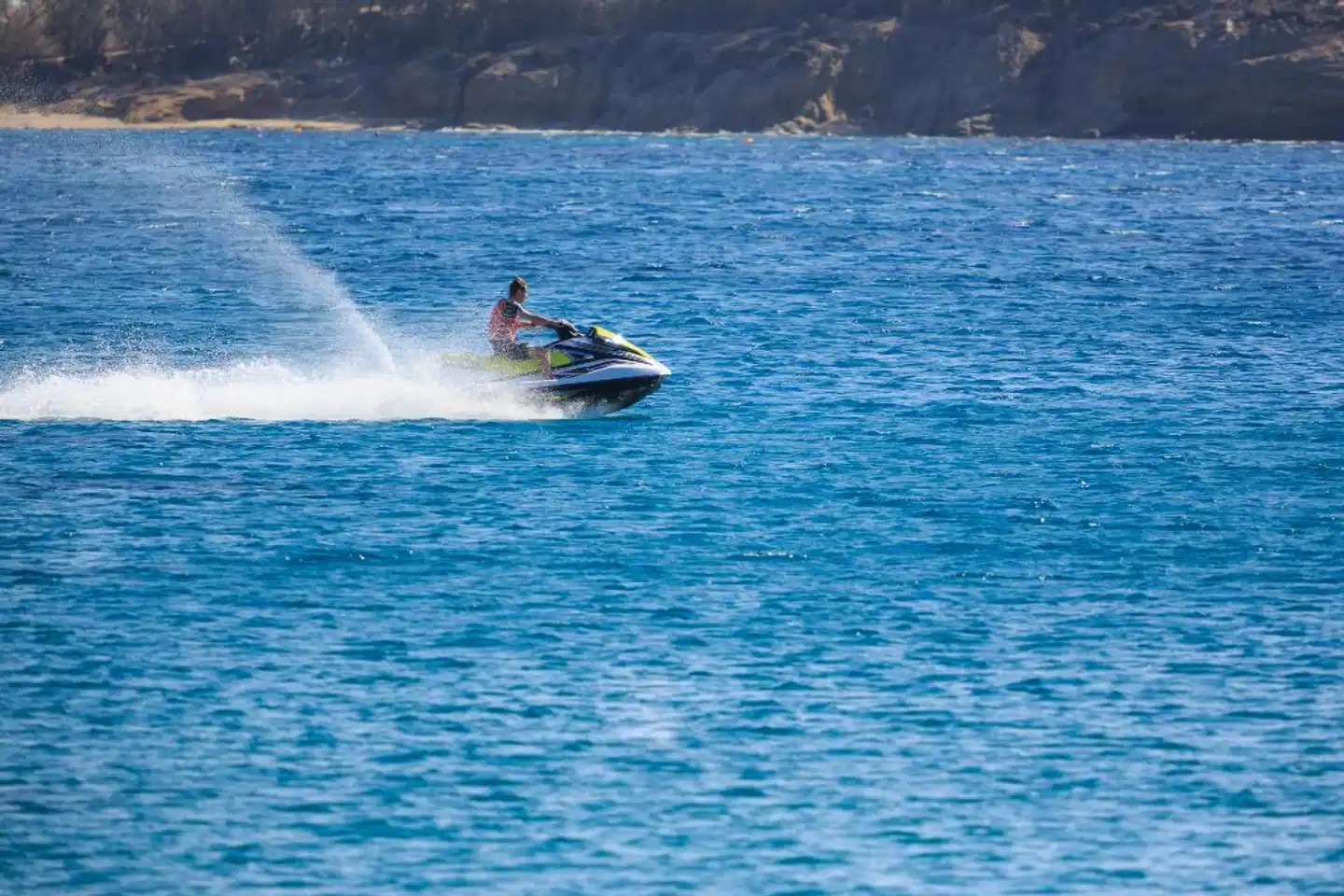 Petinos Hotel ANIMAL