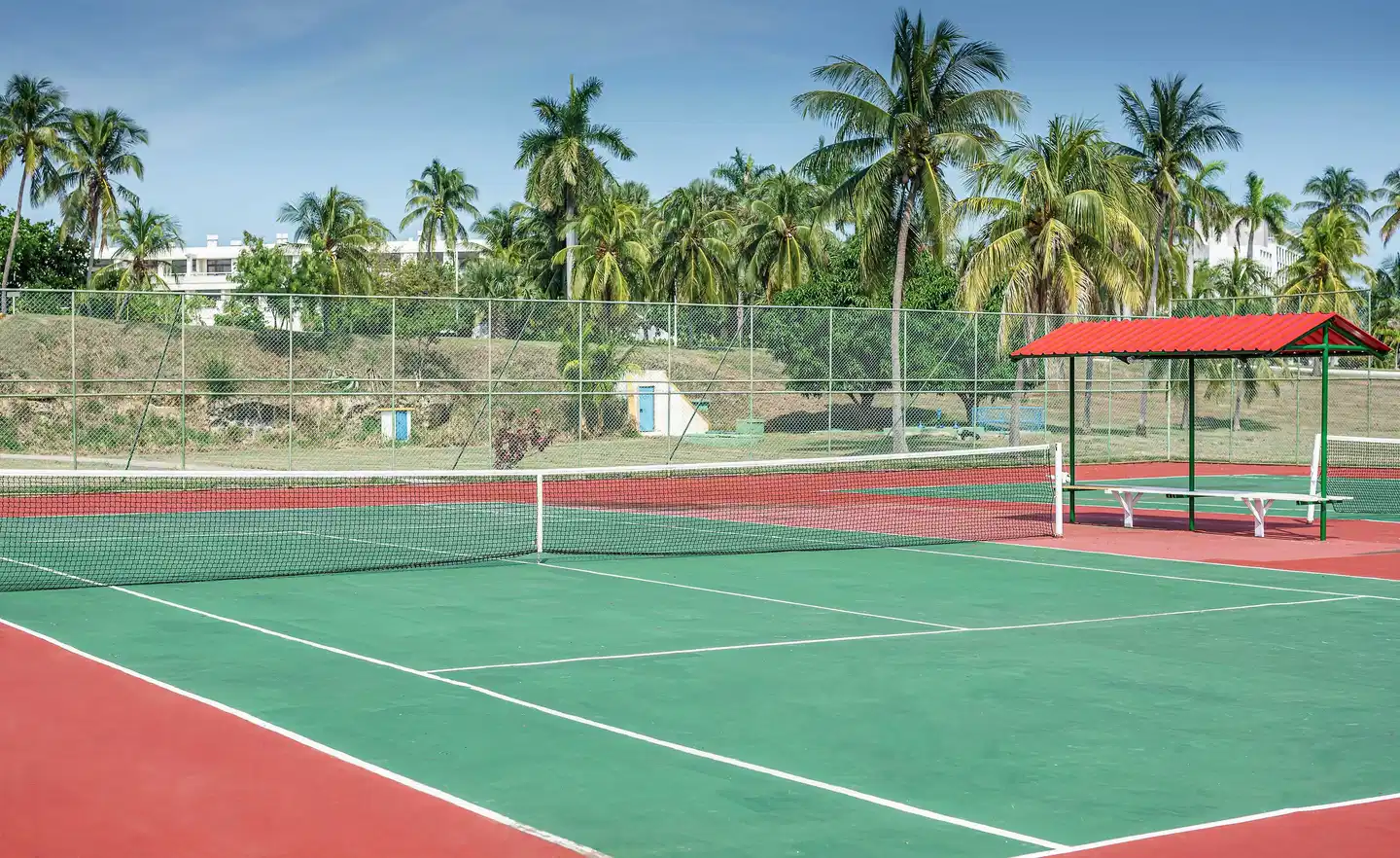 Sol Palmeras SPORT_AND_ENTERTAINMENT