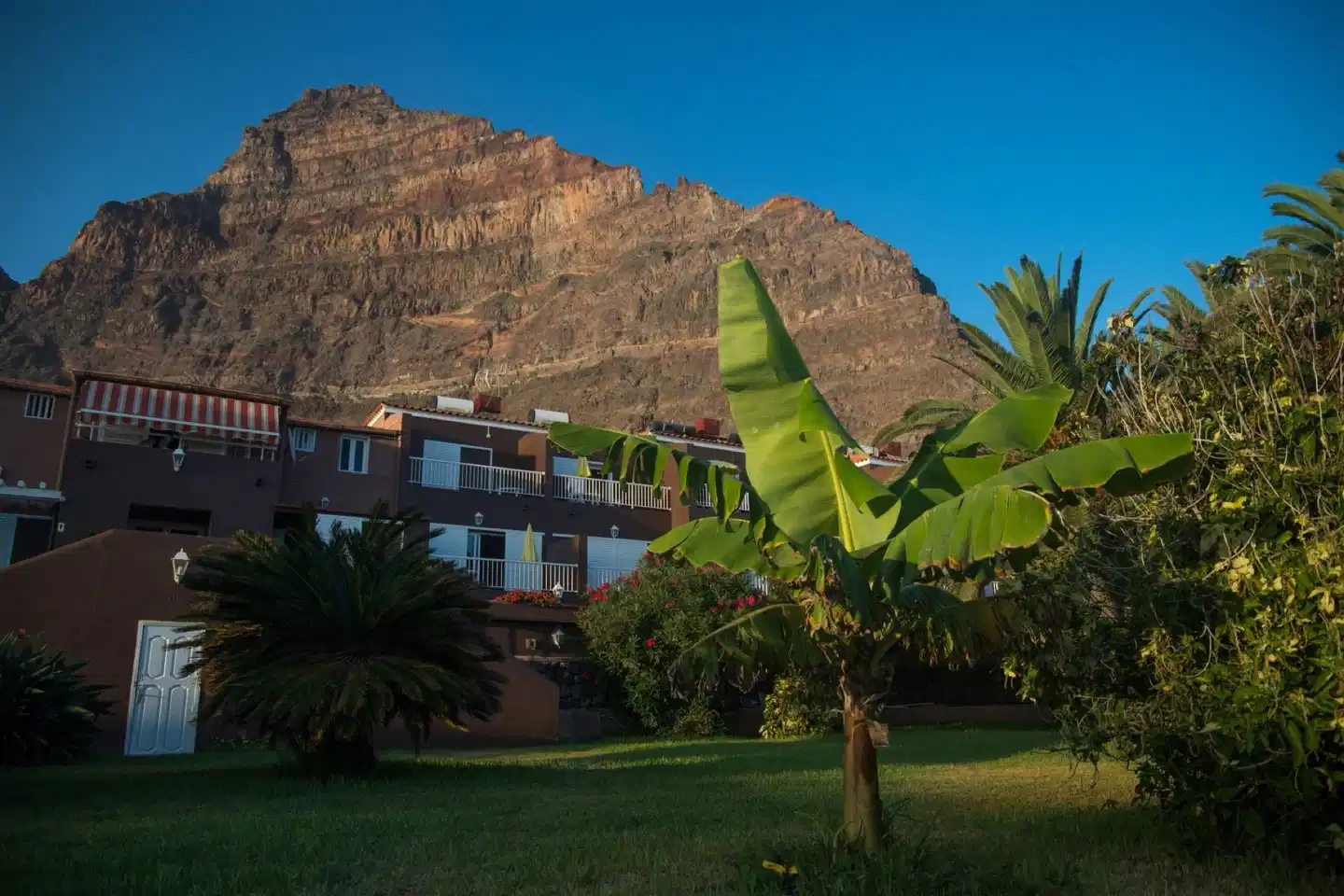 Los Tarajales OUTDOOR