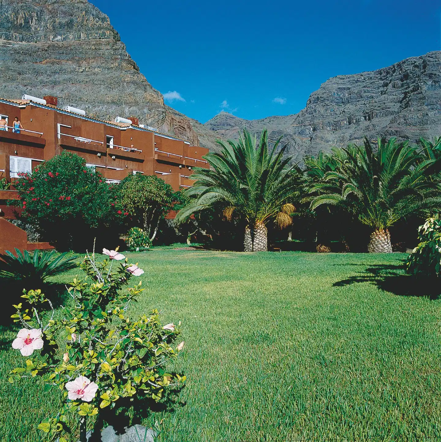 Los Tarajales GARDEN