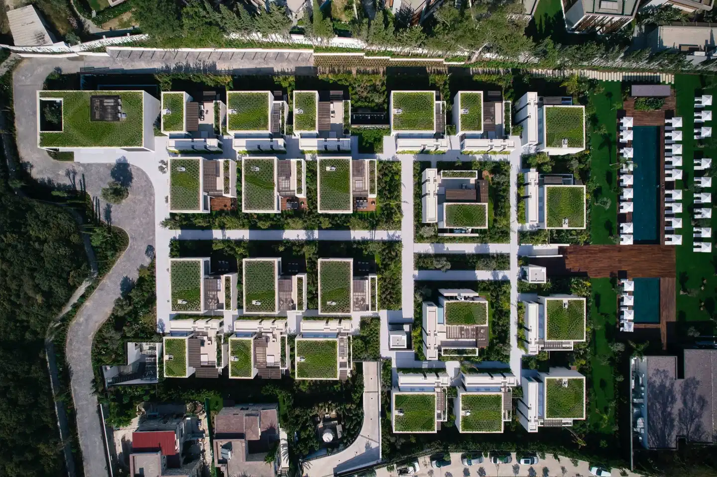 Caja by Maxx Royal SCENERY