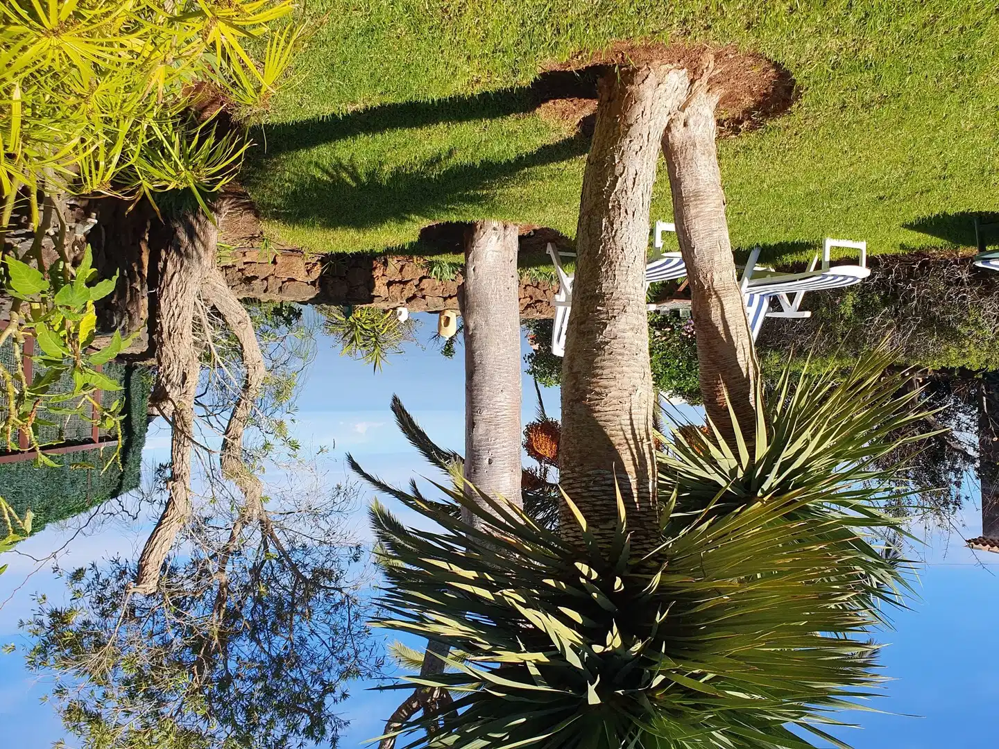 Finca La Blasina Tiere