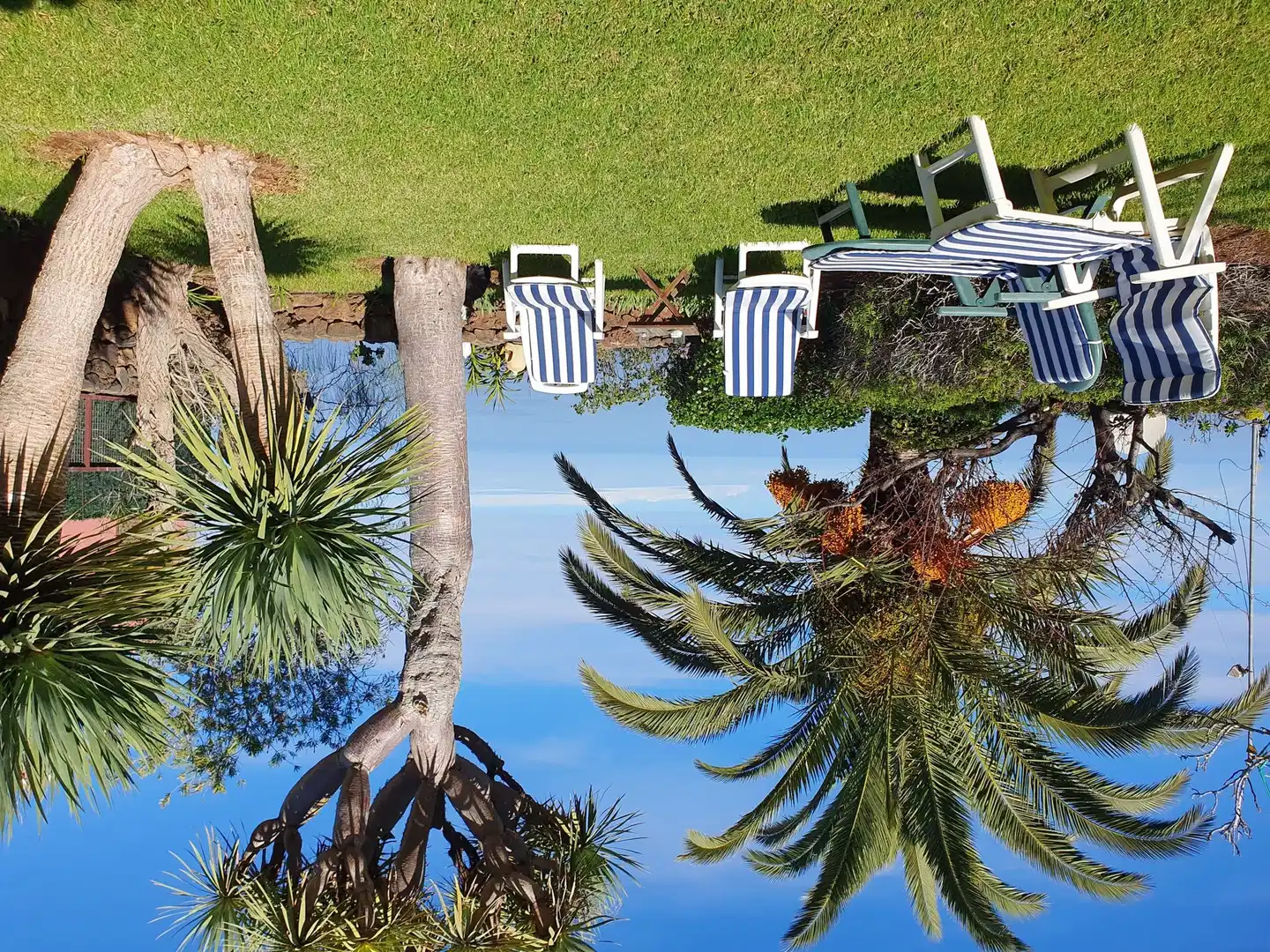 Finca La Blasina Tiere