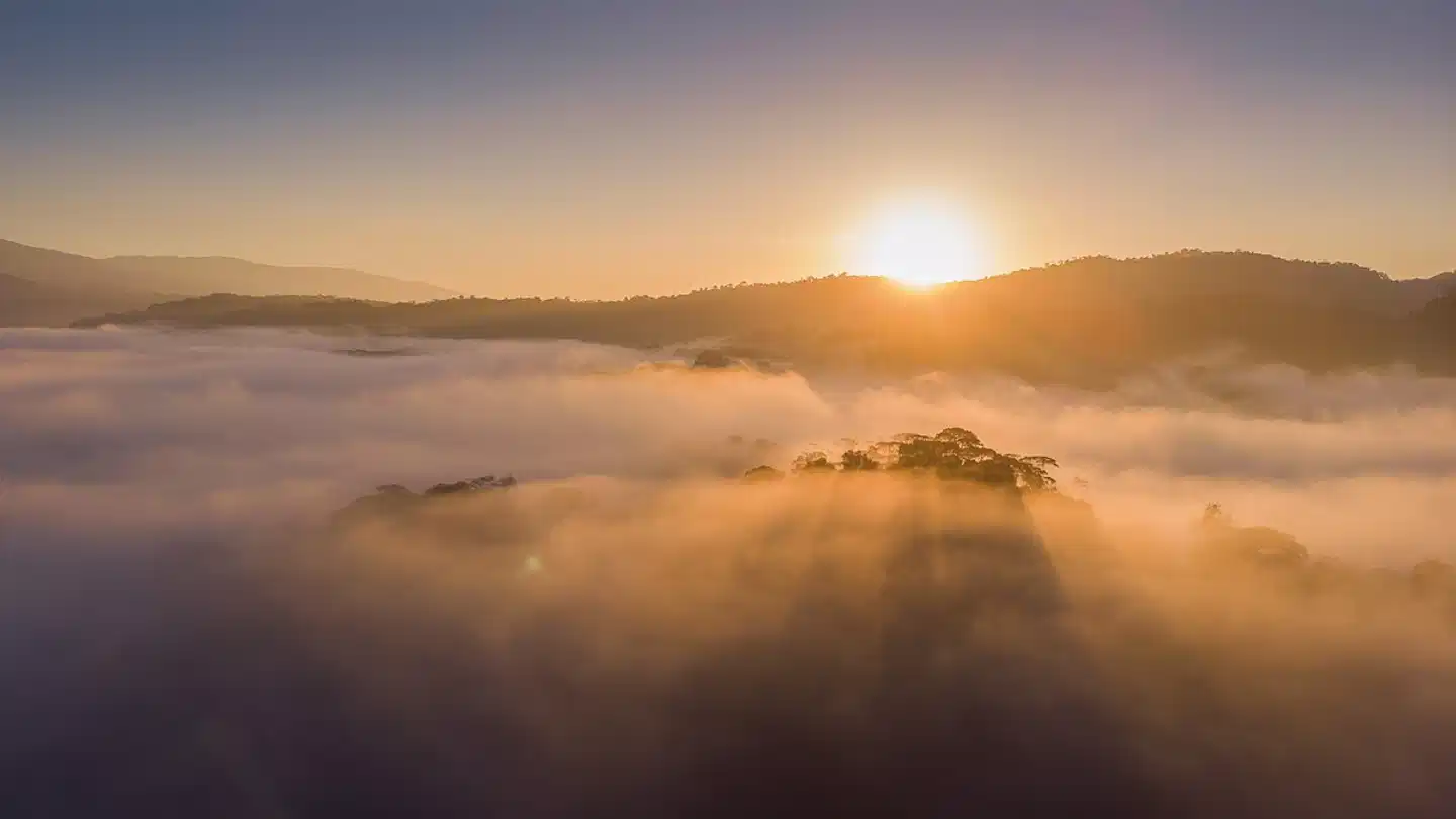 Esquinas Rainforest Lodge Landschaft