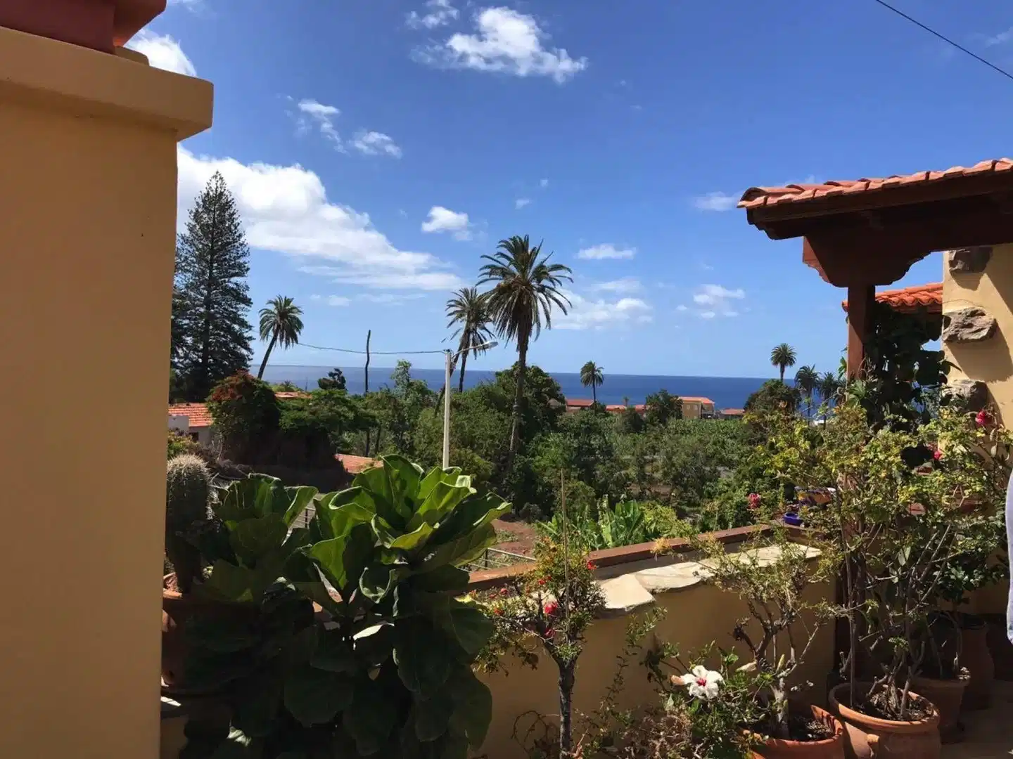 Finca Casa Dona Rosario Garten