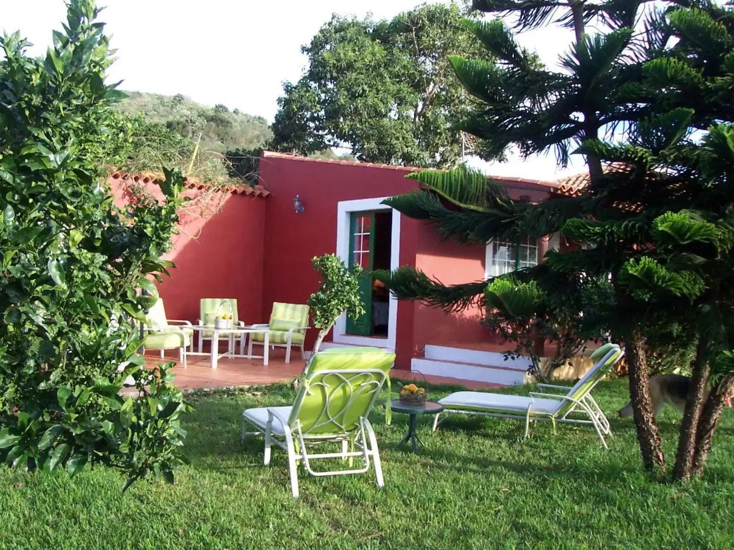 Finca La Deseada TERRACE