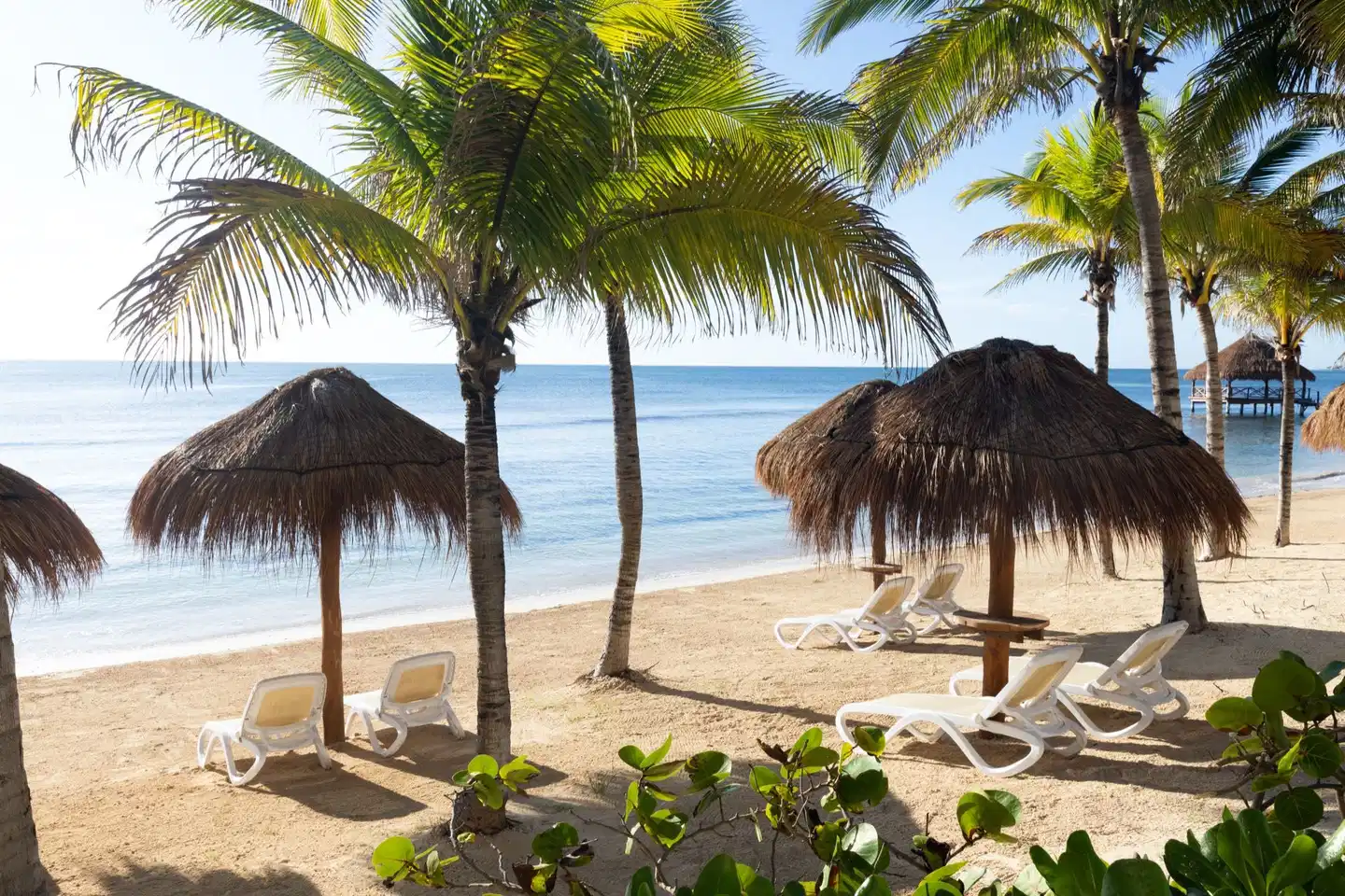 Dreams Puerto Morelos Resort & Spa Strand