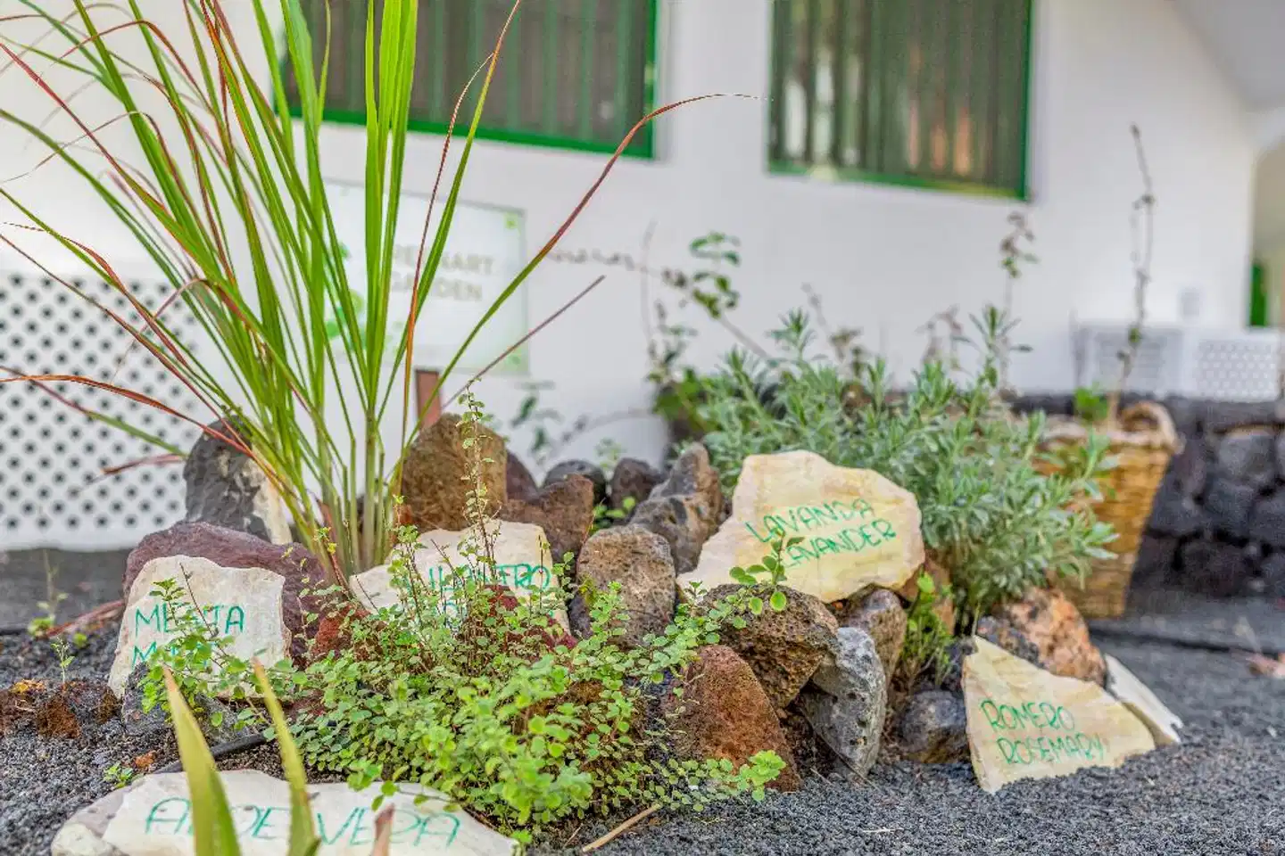 Club Del Carmen Garten