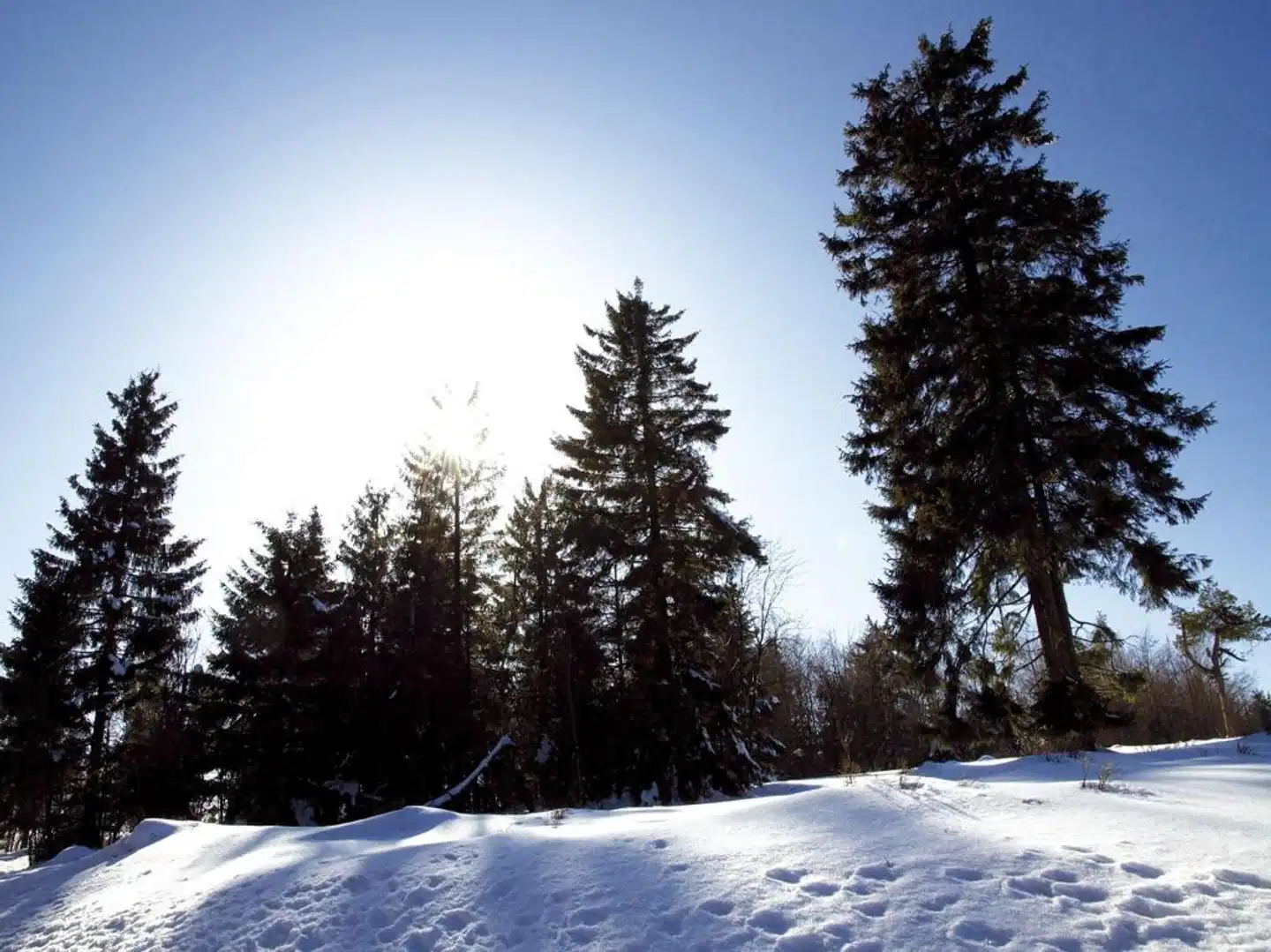 AVITAL Resort Winterberg Landschaft