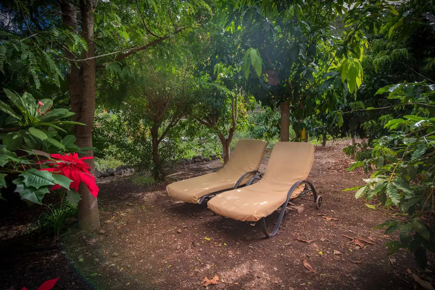 Casas del Lomo WELLNESS