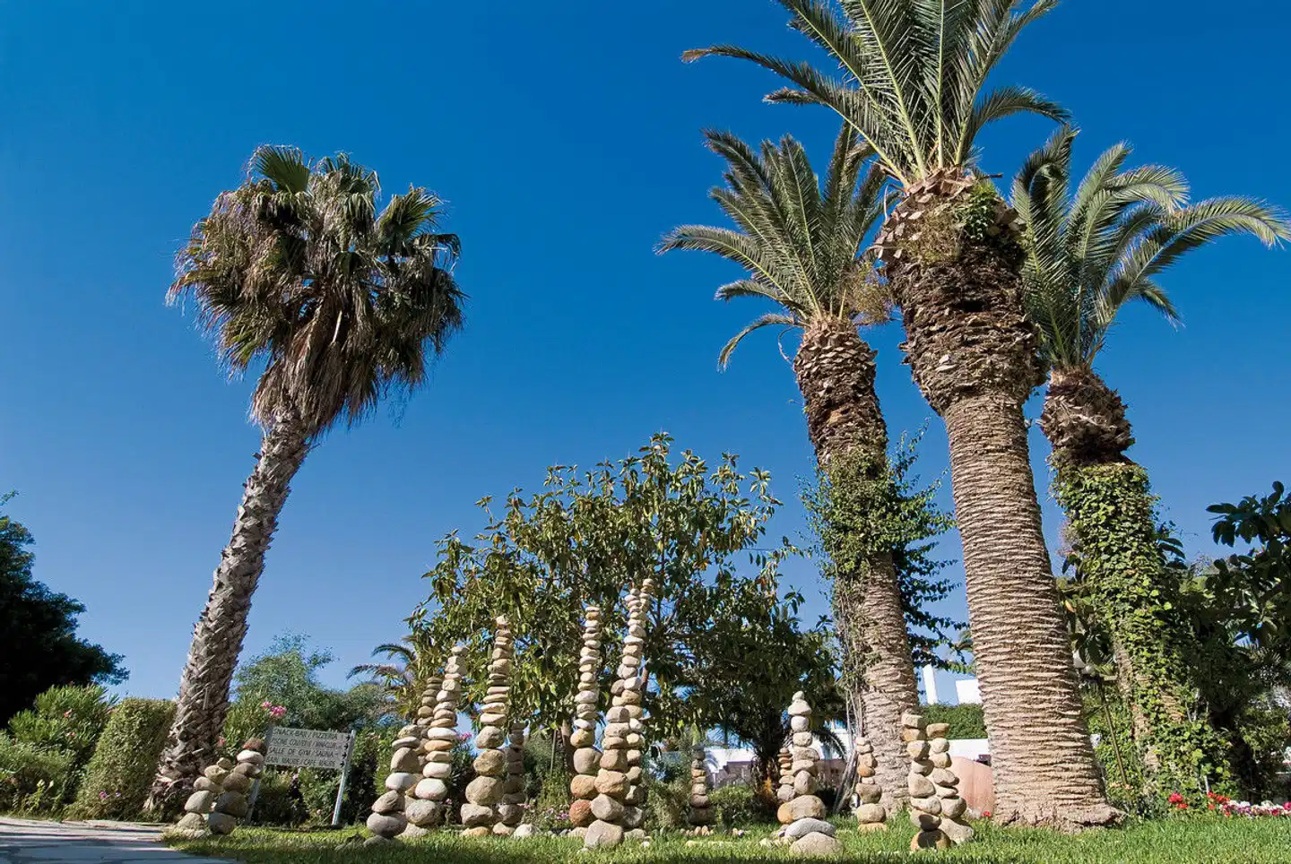 Les Orangers Beach Resort GARDEN