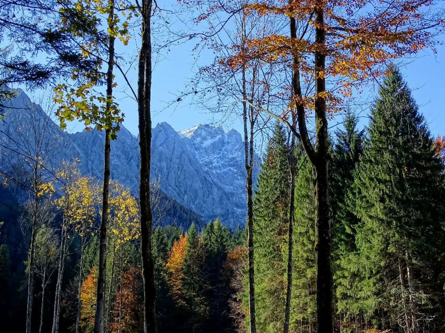 Am Badersee Landschaft