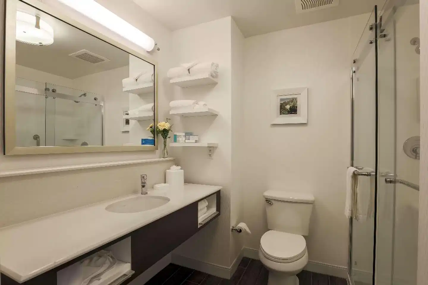 Hampton Inn Santa Barbara/Goleta Badezimmer