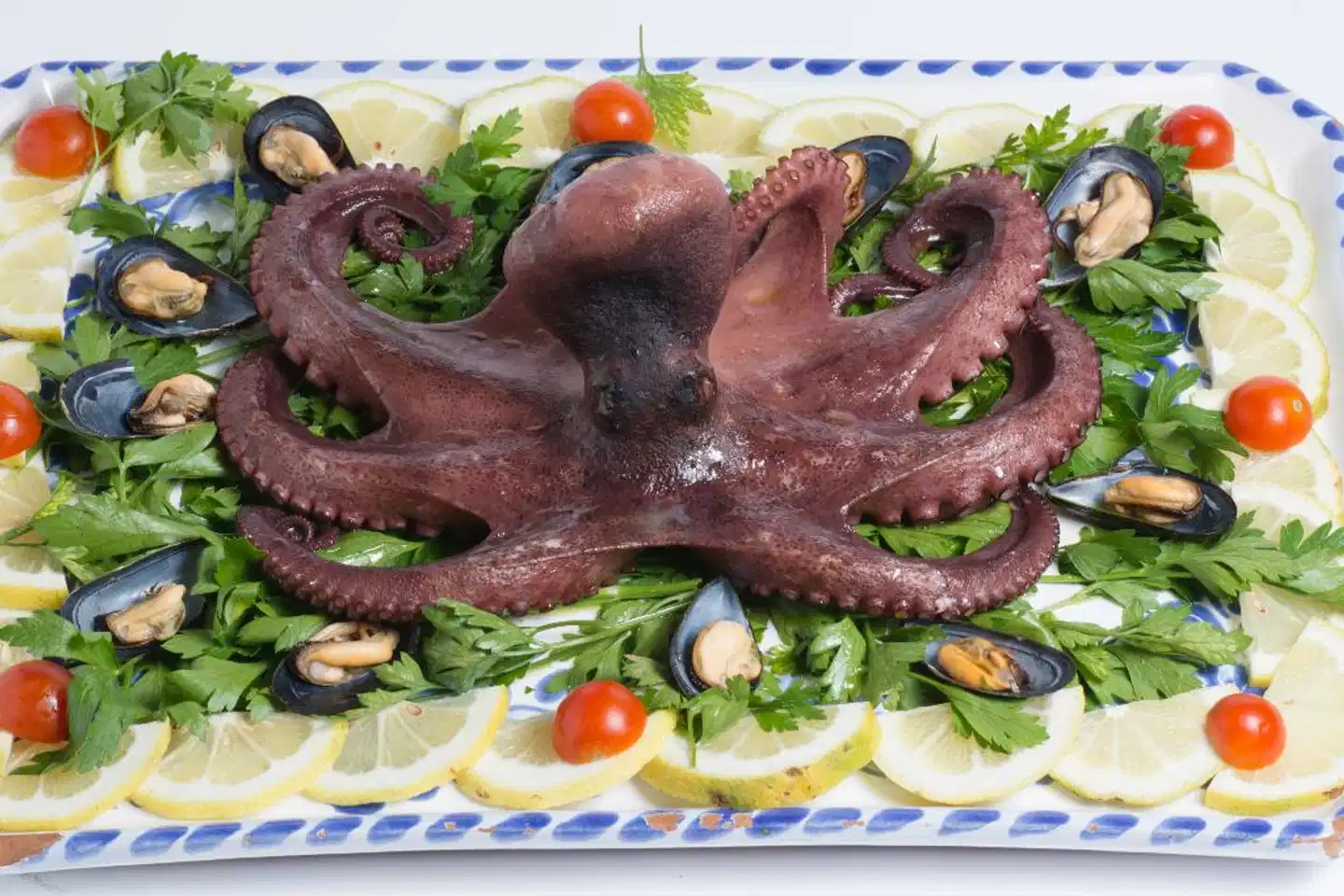 Delfino Beach Hotel Modellaufnahme