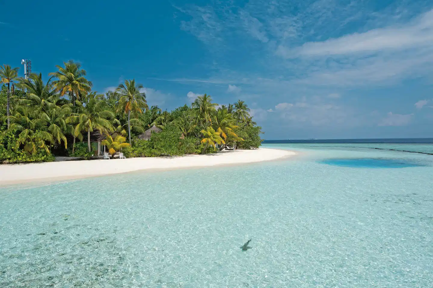 Safari Island Resort & Spa BEACH