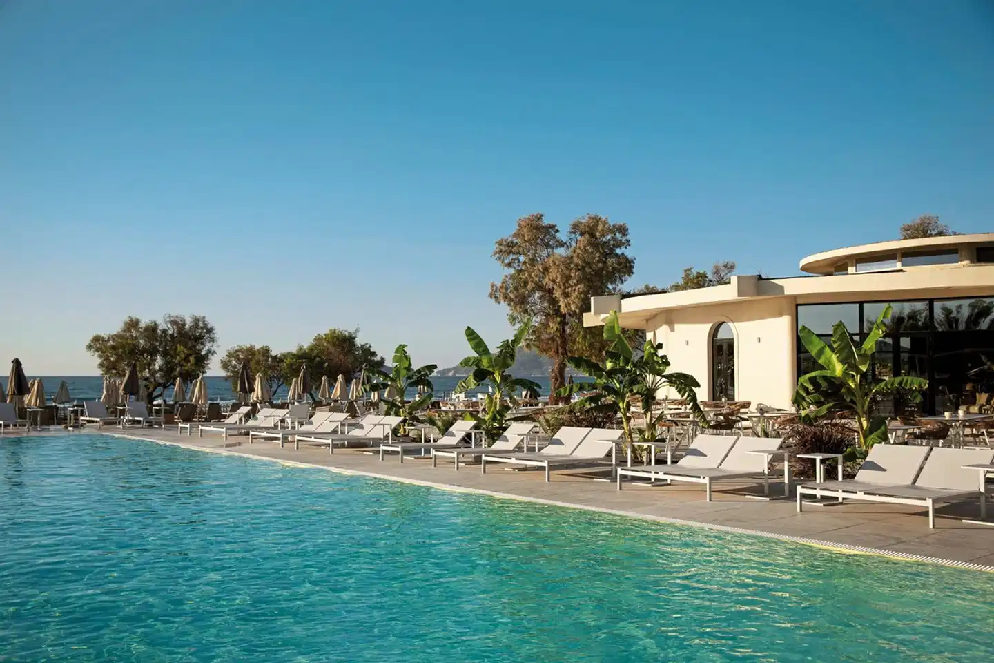 Domes Aulus Zante, Autograph Collection Pool