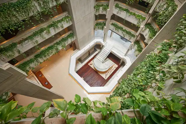 Hipotels Mediterraneo Aussenansicht