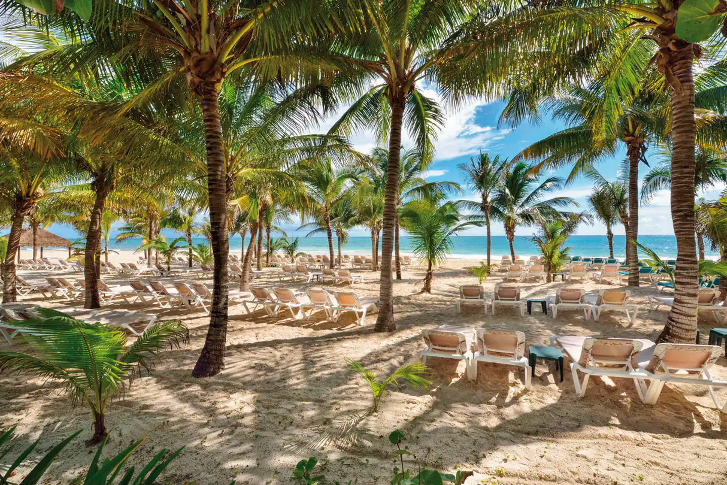 Catalonia Playa Maroma Garten