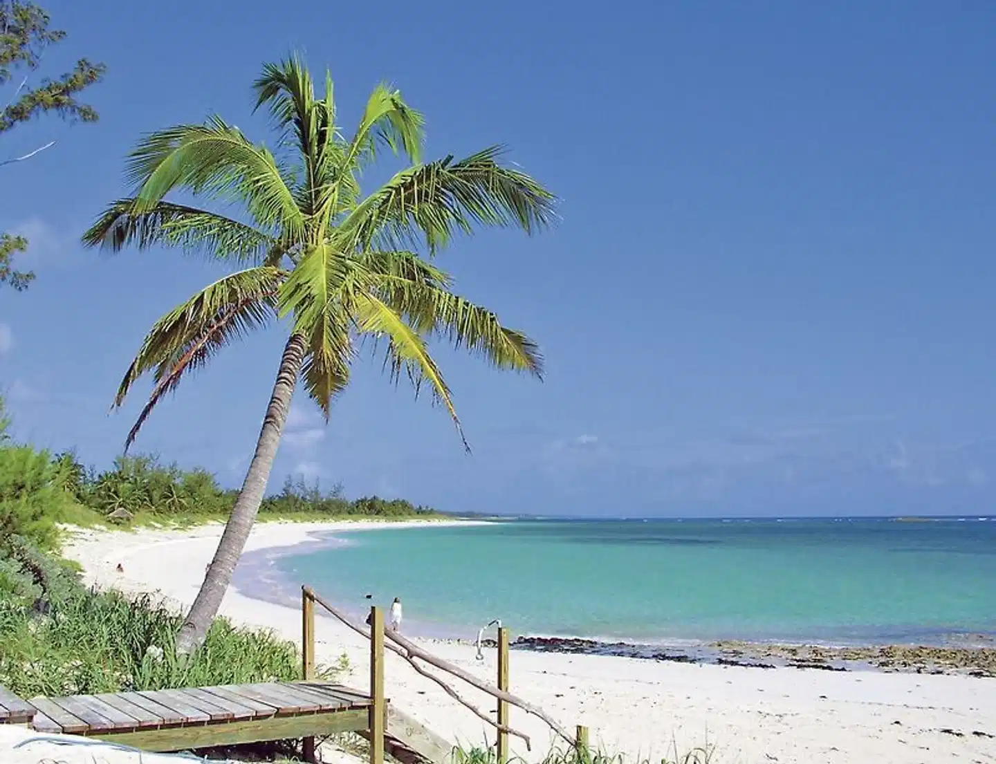Pineapple Fields Strand