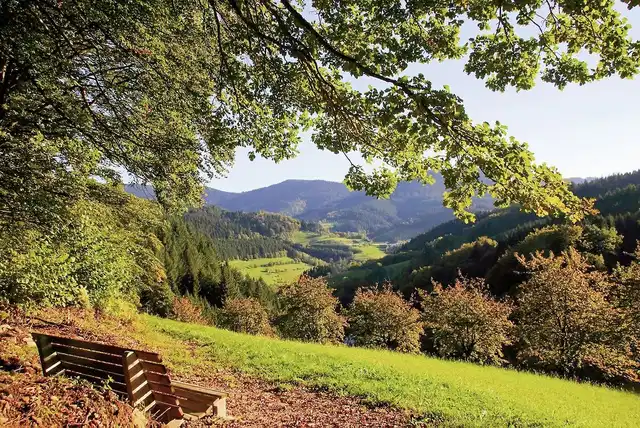 Häfner's Flair Hotel Adlerbad Landschaft