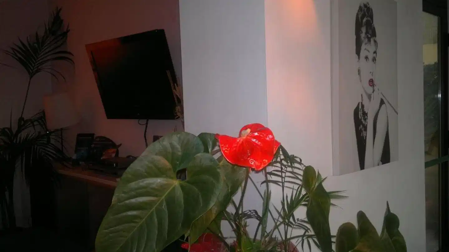 Sole E Mare Wohnbeispiel