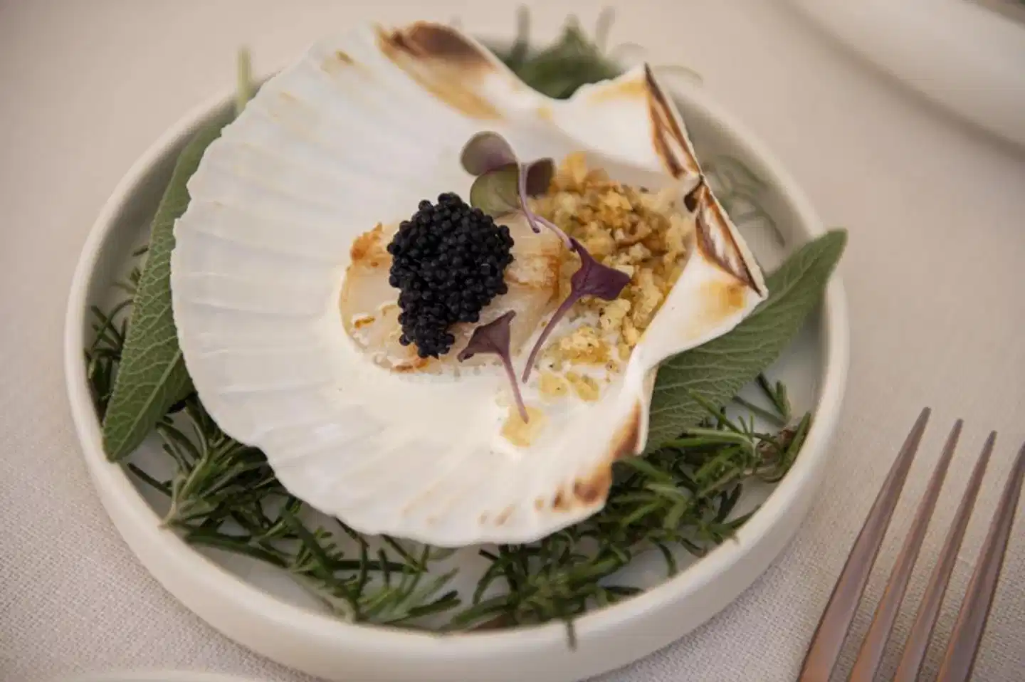 Hotel Nani Mocenigo Palace Restaurant