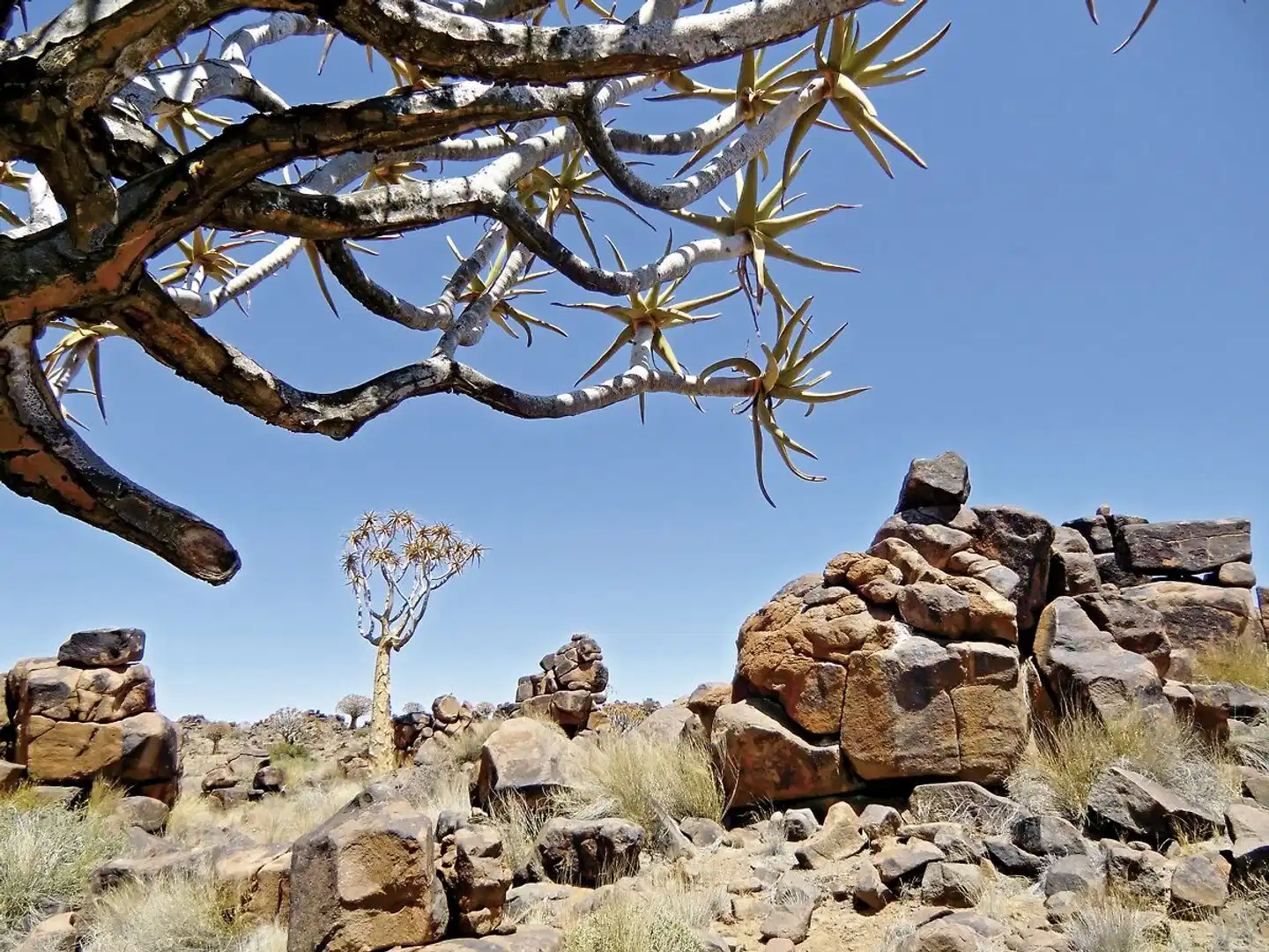 Best of Namibia Standard Landschaft
