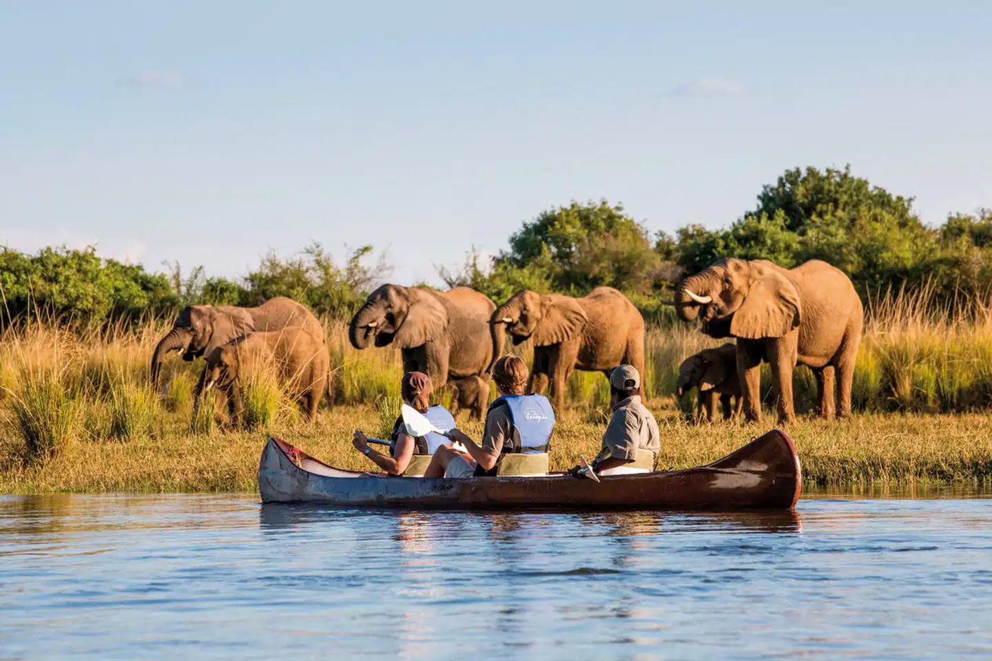 Auf den Spuren Norman Carr's Tiere