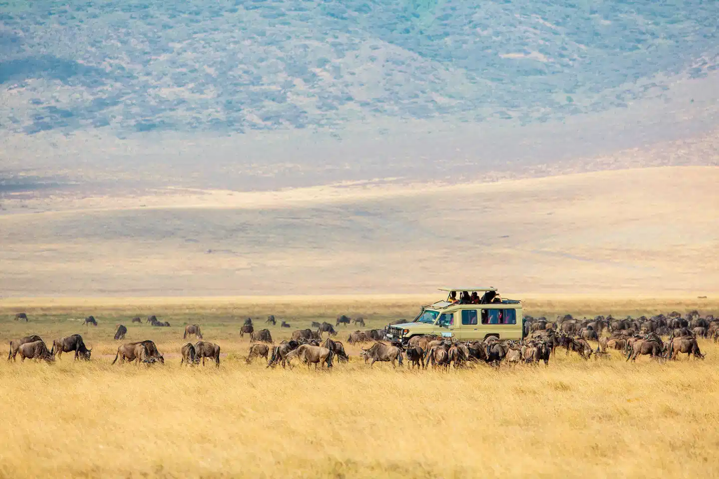 Kenia & Tansania - der Rhythmus der Wildnis Landschaft